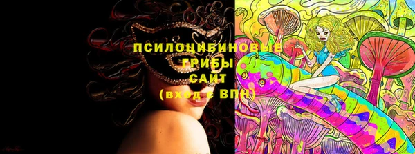 прущие грибы Белоозёрский