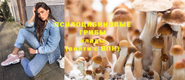 ECSTASY Белокуриха