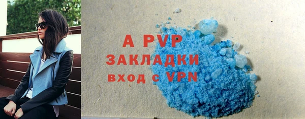 прущие грибы Белоозёрский