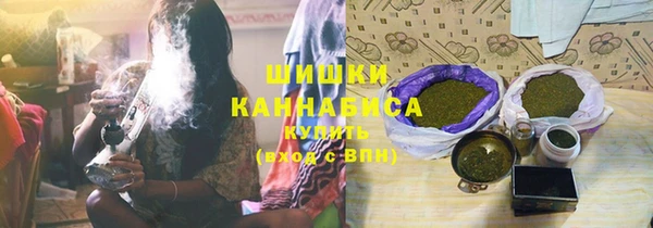 ECSTASY Белокуриха