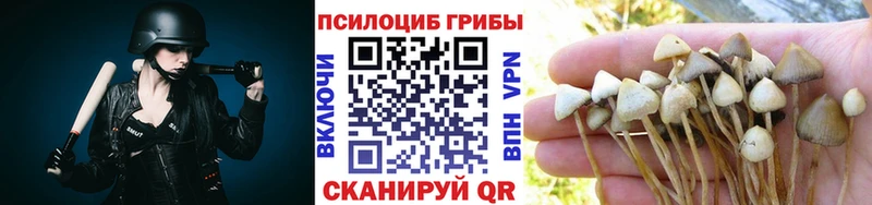 это состав Сланцы Галлюциногенные грибы Magic Shrooms ОМГ ОМГ онион
